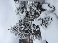 IMG_7265.JPG