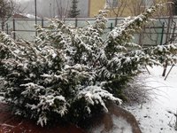 IMG_6013.JPG