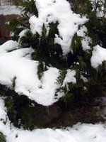 IMG_2830.JPG