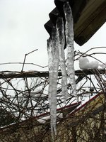 IMG_2834.JPG