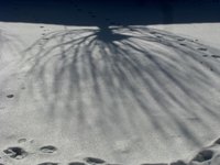IMG_2837.JPG