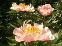 DSC_0714.jpg
