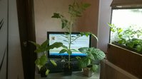 WP_20170422_002.jpg