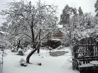 IMG_2891.JPG