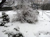 IMG_2937.JPG