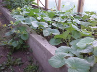 DSC02488.JPG