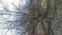 P_20170426_114950.jpg