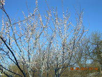 DSCN1402.JPG