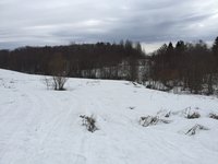 IMG_3581.JPG