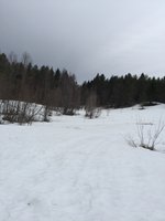 IMG_3600.JPG