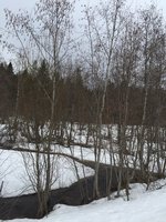 IMG_3604.JPG