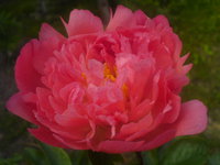DSC02628.JPG