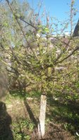 20170505_070905.jpg