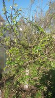 20170505_070920.jpg