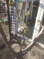 IMG_20170506_172601.jpg