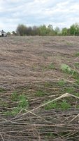 20170508_181031.jpg