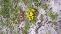 WP_20170508_15_00_23_Pro.jpg