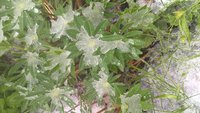 WP_20170508_15_02_16_Pro.jpg