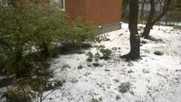 WP_20170509_002.jpg