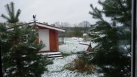 20170509_070453.jpg