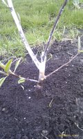 IMAG0914.jpg