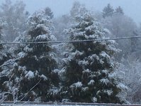 IMG_3934.JPG