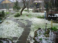 IMG_2998.JPG