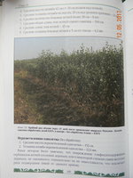 DSCN8812.jpg