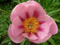 IMG_20130603_180641.jpg