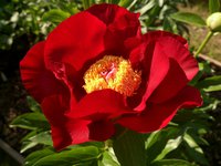IMG_20130603_180715.jpg