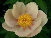 IMG_20130603_180938.jpg