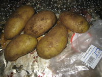 IMG_3373.JPG