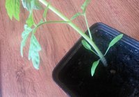 20170515_115053.jpg