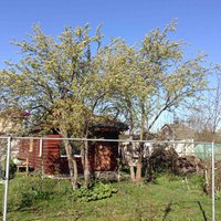 IMG_8592_1.jpg