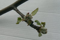 P1310005.JPG