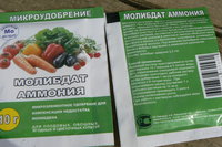 P1310016.JPG