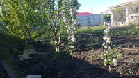 20170509_172126.jpg