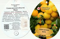 IMG_20170516_0002.jpg