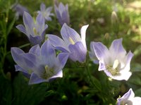 IMG_20130603_204650.jpg