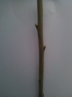 WP_007531.jpg