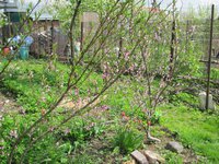 IMG_0031.JPG