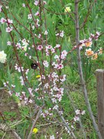 IMG_0034.JPG