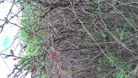 P_20170520_122606.jpg