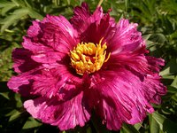 IMG_20130604_110115.jpg