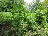 20170521_105332.jpg