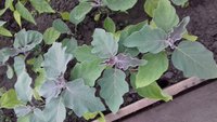 20170521_181122.jpg