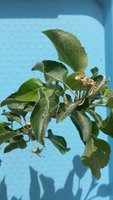20170522_122028.jpg