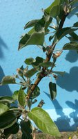 20170522_121853.jpg