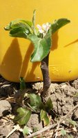 20170522_120422.jpg