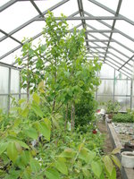 DSC05064.JPG